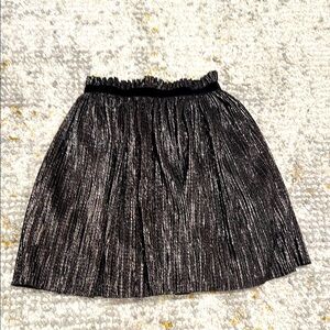Elegant Zara Black&Gold Pleated Skirt